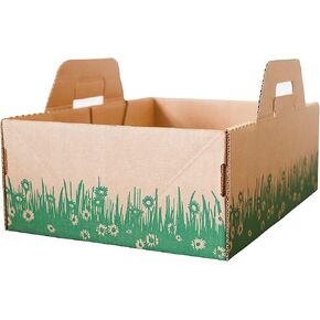 Disposable Ten Second Litter Boxes for Kitty/Cats. Made in The USA. Biodegradable Solution for Quick and Easy Disposal. Made of Recyclable Material. (10-Pack) in Saudi Arabia