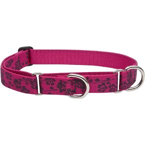LupinePet Originals 1" Plum Blossom 15-22" Martingale Collar for Medium and Larger Dogs in Saudi Arabia