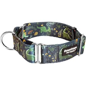 Downtown Pet Supply - Martingale Collar for Dogs - Dog Training Collar - Big, Wide & Thick Dog Collar - Escape-Proof, Weatherproof, Durable and Comfortable - Dino - Medium Dog Collar in Saudi Arabia
