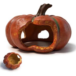 Gecko Hide, Reptile Hide, Halloween Pumpkin Reptile Cave in Kuwait