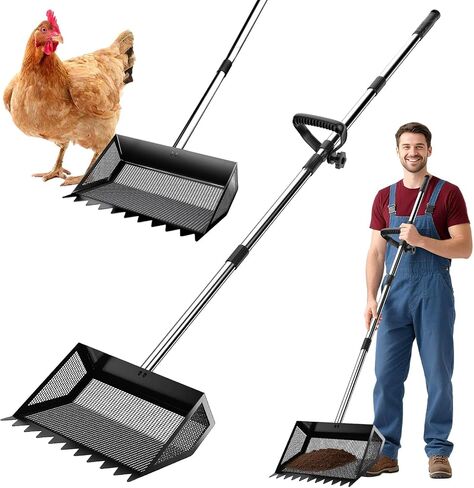 Chicken Poop Scooper Rake 2-in-1,304 Stainless Steel Shovel Head, Chicken Litter Scoop with Handle for Chicken Coop for Sand, Pet Waste Cleaning, Litter Sifting Shovel (35 to 65") (Blue, 10inch) in Saudi Arabia