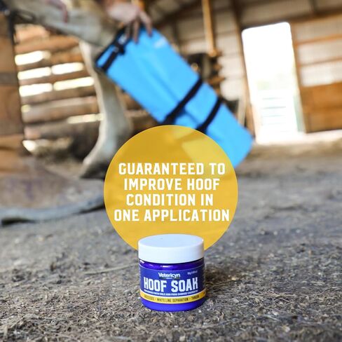 Vetericyn Hoof Soak for Hooves with Sole and Frog Damage Caused by Abscesses, White Line Separation, and Thrush. 30 Grams, 2 Pack in Saudi Arabia