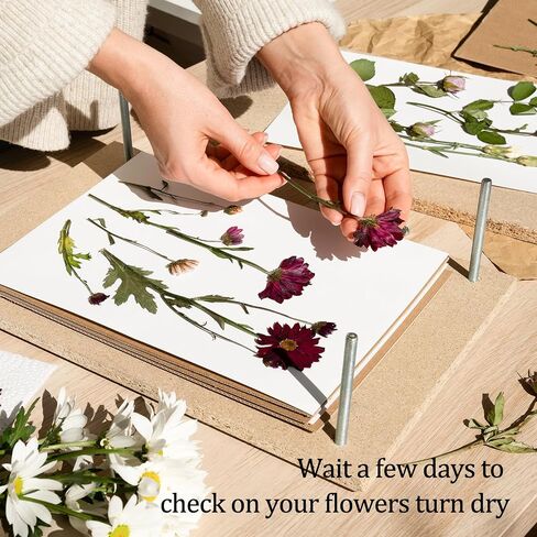 Blotting Paper for Flower Press, 20 Sheets Large A4 Highly Absorbent and Reusable Blotter Paper for Flower Press Paper Craft 8.26 x 11.4 inch in Kuwait