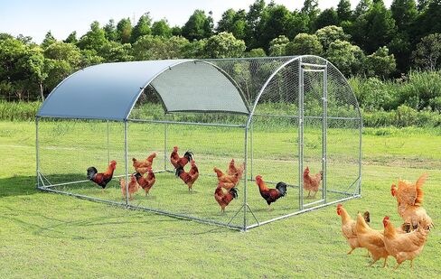 Extra Large Chicken Run Metal Chicken Coop Walk-in Poultry Cage Hen Run House Cage Rabbit Cage w/Waterproof and Anti-Ultraviolet Cover for Outdoor Backyard Farm Use,Dome Shape 18.7 X 9.2' X 6.5' in Kuwait