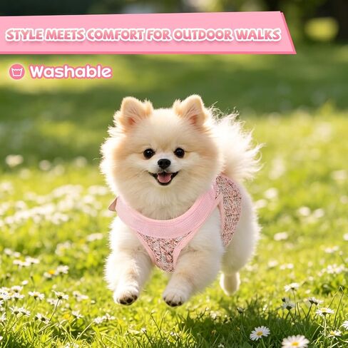 YooxArmor Dog Lift Harness Carrier with Leash, Breathable Fashion Small Dog Sling Carrier, Portable Pet Purse for Walking Shopping Travel in Saudi Arabia