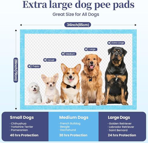 SCLOSE XL Dog Pee Pads 100 Count, 34"x28" Disposable Puppy Training Pads in Kuwait