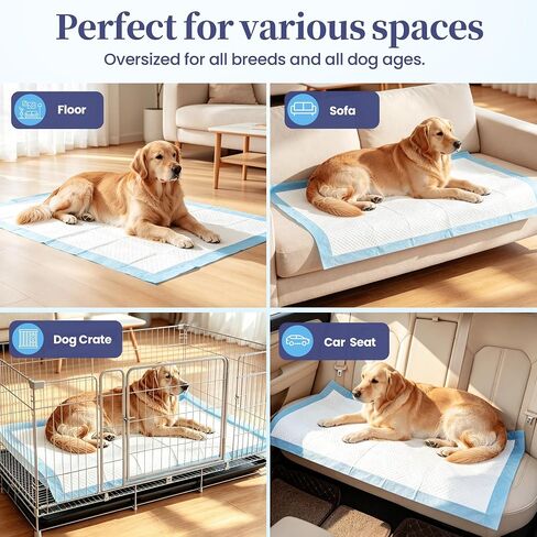 SCLOSE XL Dog Pee Pads 100 Count, 34"x28" Disposable Puppy Training Pads in Kuwait