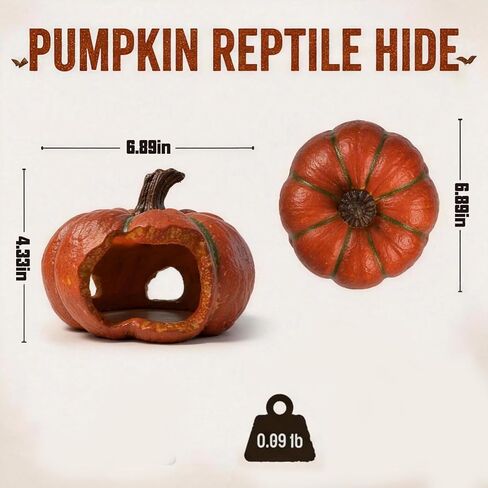 Gecko Hide, Reptile Hide, Halloween Pumpkin Reptile Cave in Kuwait