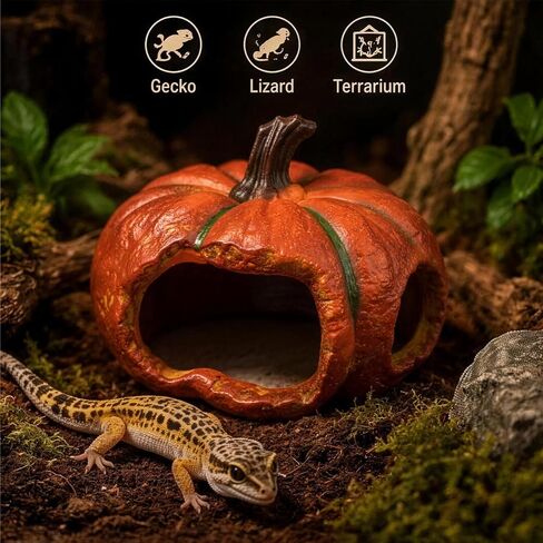 Gecko Hide, Reptile Hide, Halloween Pumpkin Reptile Cave in Kuwait