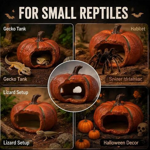 Gecko Hide, Reptile Hide, Halloween Pumpkin Reptile Cave in Kuwait