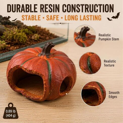 Gecko Hide, Reptile Hide, Halloween Pumpkin Reptile Cave in Kuwait
