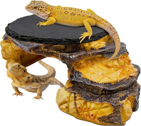 Reptile Basking Platform Gecko Hide Juvenile Beared Dragon Tank Accessories in Saudi Arabia