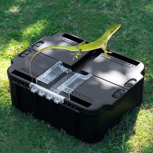 Portable Reptile Cage Carrier Tank with Handle Reptile Transport Container Terrarium Box Habitat Cage Pet Houses for Turtle, Gecko, Bearded Dragon, Lizard, Frog, Snake, Spider in Kuwait