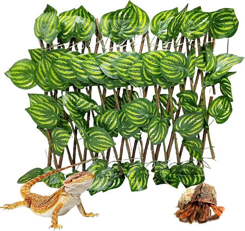 Reptile Hermit Crab Climbing Wall Toy Bearded Dragon Climb Tank Accessories in Saudi Arabia