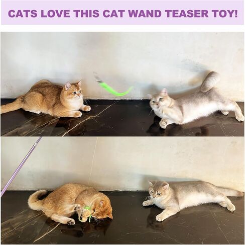 Cat Toys 11Pcs Cat Wand Worm Feather Refills for Indoor Cats in Saudi Arabia