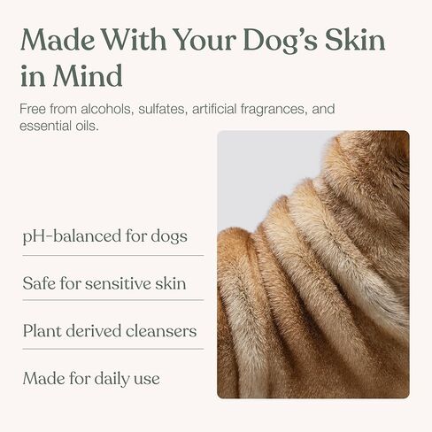 Dandylion Dog Paw Cleaner & Waterless Dog Shampoo, No-Rinse Grooming Duo in Kuwait