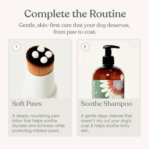 Dandylion Dog Paw Cleaner & Waterless Dog Shampoo, No-Rinse Grooming Duo in Kuwait
