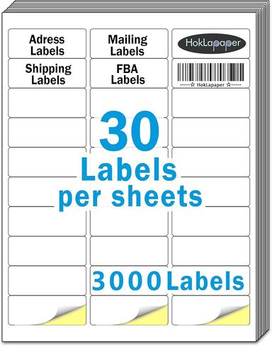 2" x 4" Shipping Labels,Printable White Mailing Labels for Laser/Inkjet Printer,Permanent Adhesive Sticker Labels(100 Sheets,1000 Labels) in Kuwait