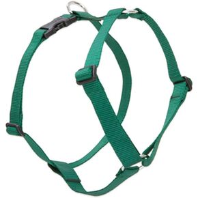 LupinePet Basics 1/2 "أخضر 12-20" حزام كلب روماني قابل للتعديل للكلاب الصغيرة in Kuwait