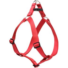 سرج LupinePet Basics مقاس 3/4 بوصة باللون الأحمر مقاس 20-30 بوصة للكلاب المتوسطة الحجم in Kuwait
