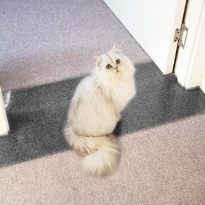 Oroonoko Carpet Protector for Pets-Plastic Carpet Protector, Clear, 3.6FT in Kuwait