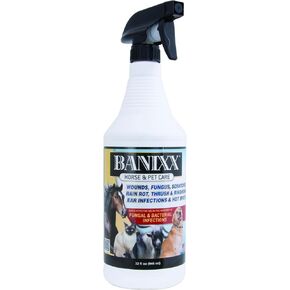 BANIXX Horse and Pet Care Spray for Horses, Dogs and Cats, Daily Skin and Coat Care Spray, Alcohol-Free, Non-Staining, No Odor, Made in USA, Grooming and Hoof Care Formula, 8 oz in Kuwait
