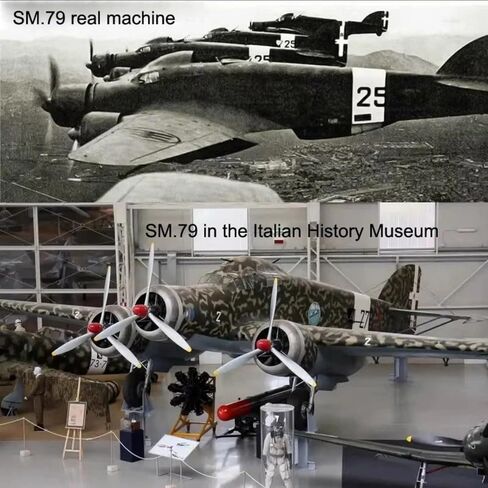 1/144 Scale WWII Italy Savoia-Marchetti SM.79 Sparviero Bomber Model Alloy Model Diecast Plane Toy for Collection in Kuwait