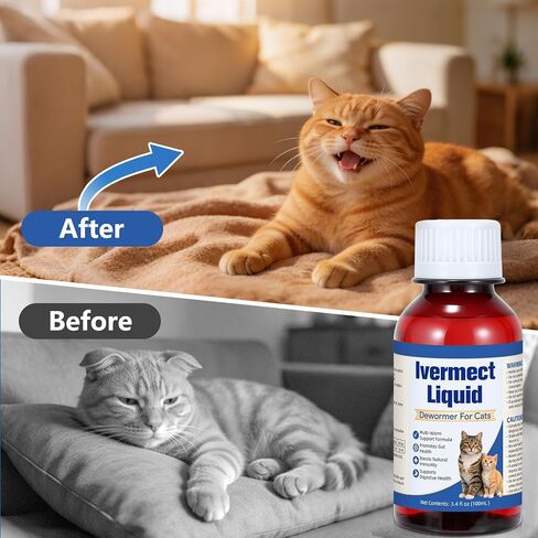 Dewormer for Cats, Broad Spectrum Digestive Support, Removal of Hookworms, Lungworms, Pinworms, Roundworms, 100mL in Kuwait