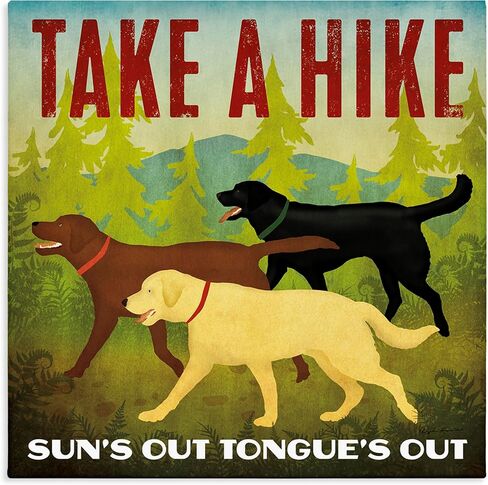Stupell Industries Hiking Dogs Phrase Canvas Wall Art Design by Ryan Fowler in Kuwait