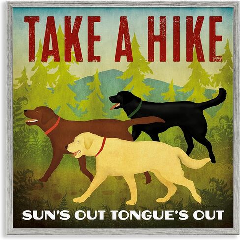 Stupell Industries Hiking Dogs Phrase Gray Framed Giclee Art Design by Ryan Fowler in Saudi Arabia