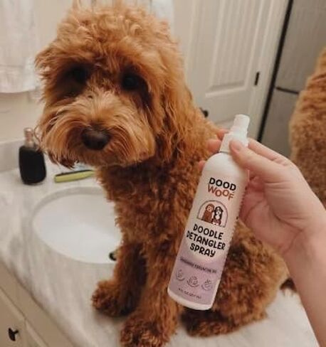 Dood Woof Dog Detangler Spray - Dematting Leave-in Conditioner for Doodles - Goldendoodle Labradoodle Poodle Puppy Grooming - 8 oz in Saudi Arabia