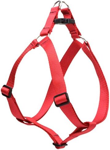 سرج LupinePet Basics مقاس 3/4 بوصة باللون الأحمر مقاس 20-30 بوصة للكلاب المتوسطة الحجم in Kuwait