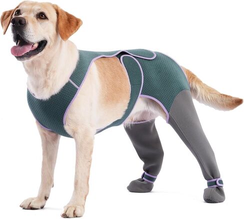 Dog Socks to Prevent Licking Paws, Breathable Soft Wound Protector for Dog's Back Legs, Anti-Slip Paw Cover Boots for Injury Recovery, Pet Foot Sleeves for Small Medium Large Dogs(Large) in Saudi Arabia