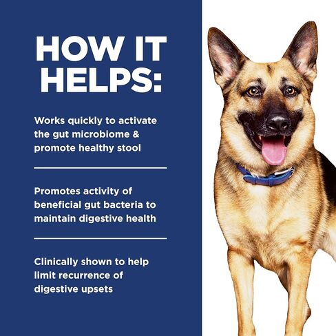 Hill's Prescription Diet Gastrointestinal Biome Wet Dog Food in Saudi Arabia