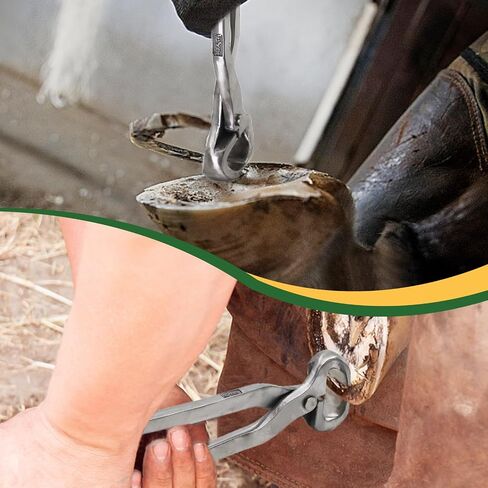 15 Inch Stainless Steel Horse Hoof Nipper Heavy-Duty Hoof Trimmer Cutter in Saudi Arabia