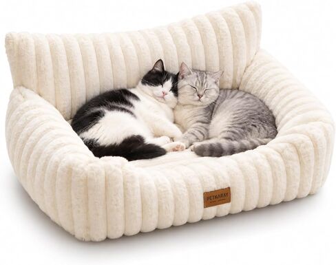 PETKARAY Cat Couch Bed, 24'' Soft Sofa for Indoor Cats, Machine Washable in Saudi Arabia