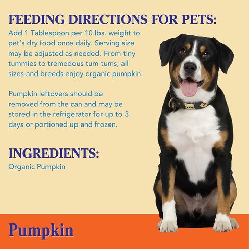 Nummy Tum Tum Pure Pumpkin For Pets, 15 Ounce (Pack of 12) in Kuwait