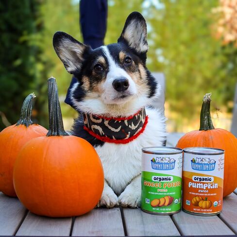 Nummy Tum Tum Pure Pumpkin For Pets, 15 Ounce (Pack of 12) in Kuwait