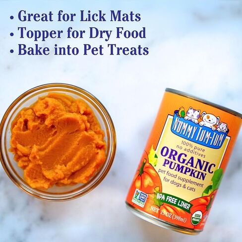 Nummy Tum Tum Pure Pumpkin For Pets, 15 Ounce (Pack of 12) in Kuwait