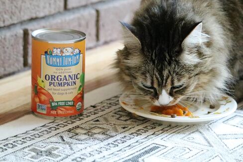 Nummy Tum Tum Pure Pumpkin For Pets, 15 Ounce (Pack of 12) in Kuwait