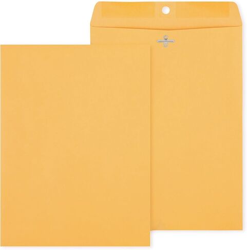 Staples 487493 Brown Kraft Clasp Envelopes 9-Inch X 12-Inch 250/Box in Kuwait