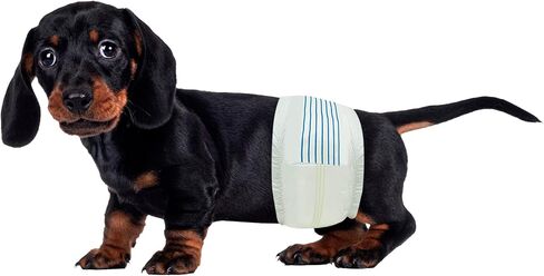 BV Dog Diapers Male X-Small (Waist 9-14 in) Super Absorbent - 50 Count Disposable - Doggie Diapers with Wetness Indicator - Adjustable Male Dog Wraps - Ideal for Incontinence/Training in Saudi Arabia