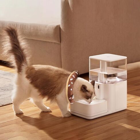 Cat Cone Collar Soft, Plush Pillow Cute Donut Lightweight Adjustable Neck Cone for Cats Kittens After Surgery, M in Saudi Arabia