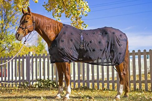 BENEFAB Therapeutic Mesh Sheet SmartScrim Ceramic Infused Powder & Magnetic Therapy | Clinically Proven to Reduce Back Soreness Promote Blood Flow Recovery Pain Stiffness Black (78") in Saudi Arabia