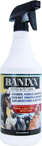 BANIXX Horse and Pet Care Spray for Horses, Dogs and Cats, Daily Skin and Coat Care Spray, Alcohol-Free, Non-Staining, No Odor, Made in USA, Grooming and Hoof Care Formula, 8 oz in Kuwait