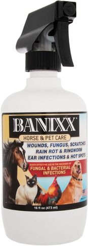 BANIXX Horse and Pet Care Spray for Horses, Dogs and Cats, Daily Skin and Coat Care Spray, Alcohol-Free, Non-Staining, No Odor, Made in USA, Grooming and Hoof Care Formula, 8 oz in Kuwait