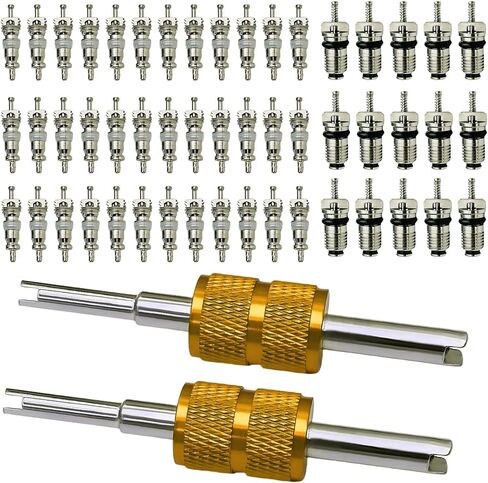 52Pcs Air Conditioning Valve Core A/C R12 R134a Refrigeration Schrader Valve Cores for Car Home AC with Double Head Dual Valve Remover Tool (52Pcs Kit) in Kuwait