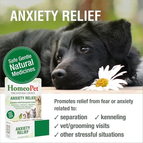 HomeoPet Anxiety Relief Supplement for Dogs and Cats, 15 Milliliters in Saudi Arabia