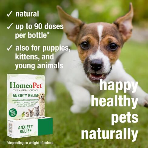 HomeoPet Anxiety Relief Supplement for Dogs and Cats, 15 Milliliters in Saudi Arabia