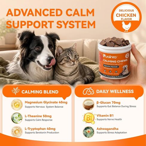 PUAINTA Calming Chews for Dogs & Cats with Magnesium Glycinate in Kuwait